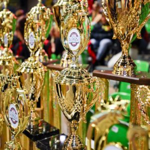 Performance Cheer Wettkämpfe Saison 2019/20